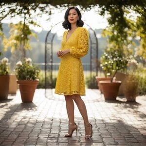 NWT Lela Rose Bishop Mesh Dress Size 8 1,590.00